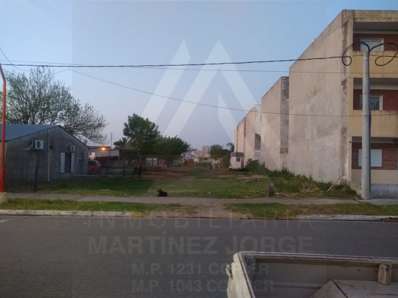 Gran Terreno Oro Verde