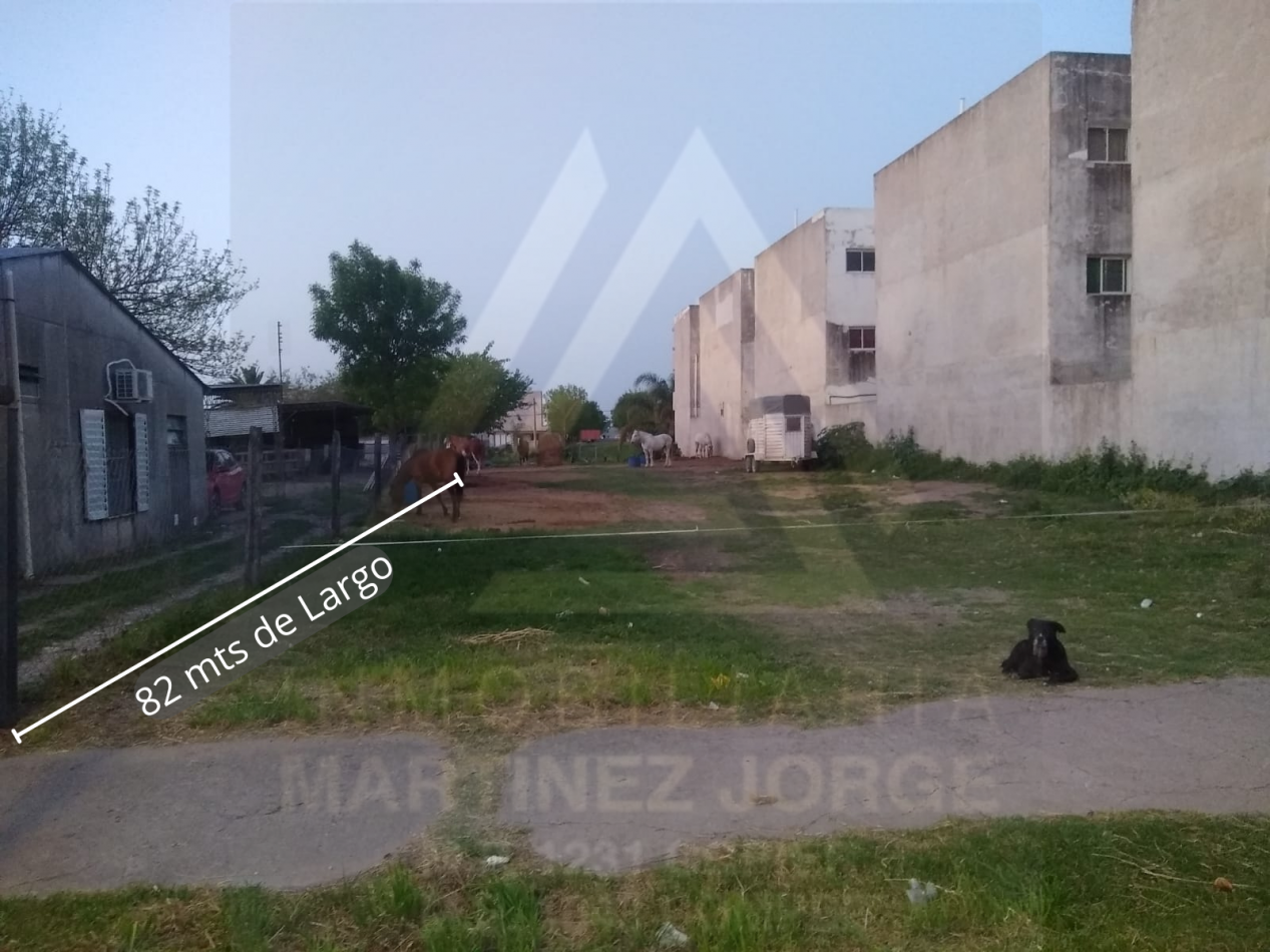 Gran Terreno Oro Verde