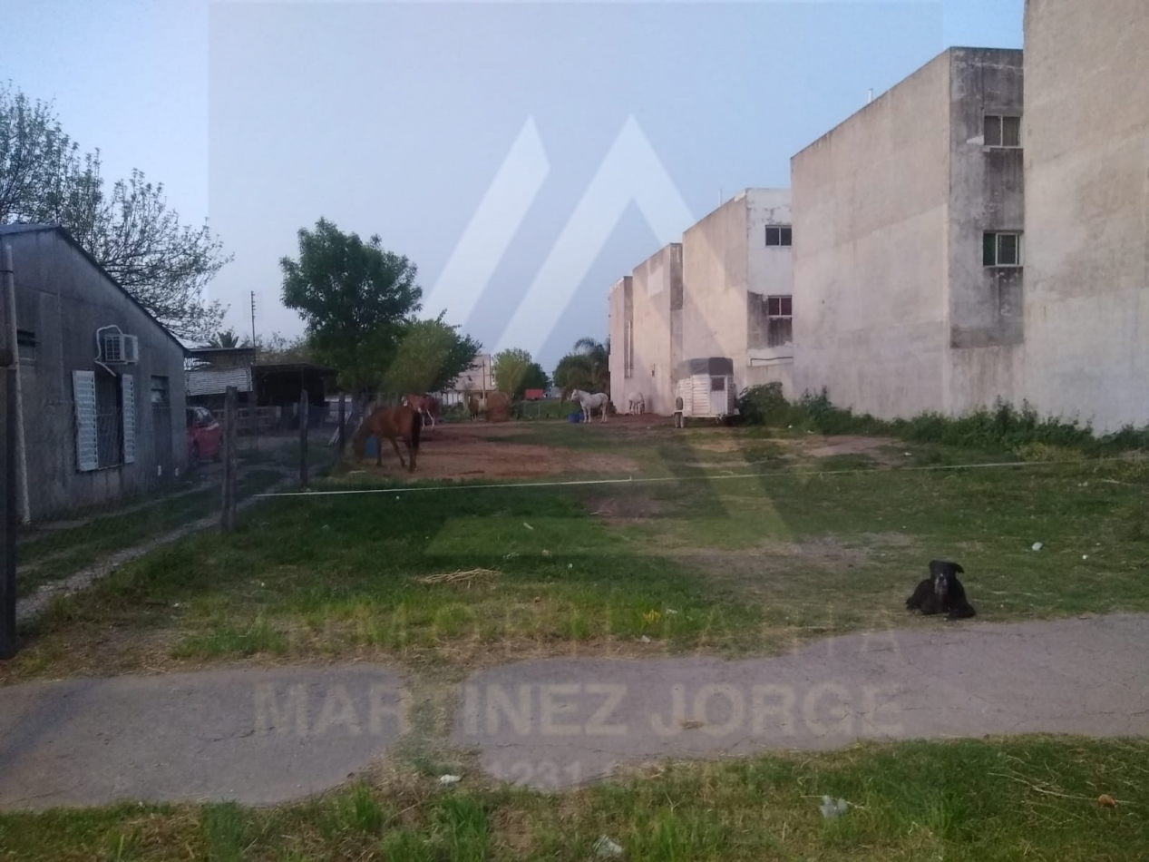 Gran Terreno Oro Verde