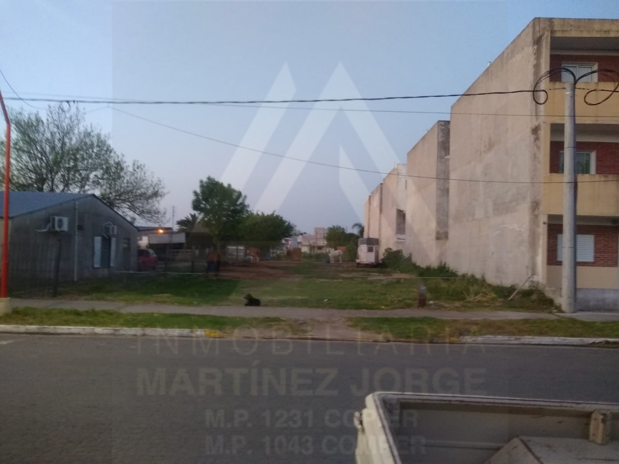 Gran Terreno Oro Verde